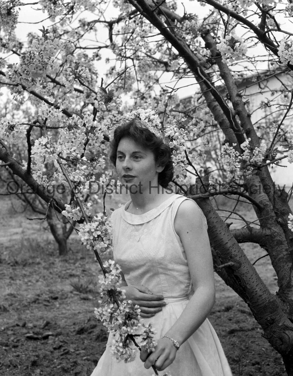 Janet Duff with cherry blossom