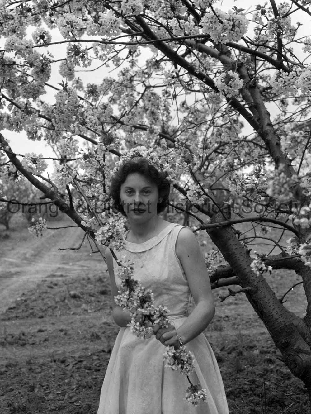 Janet Duff with cherry blossom
