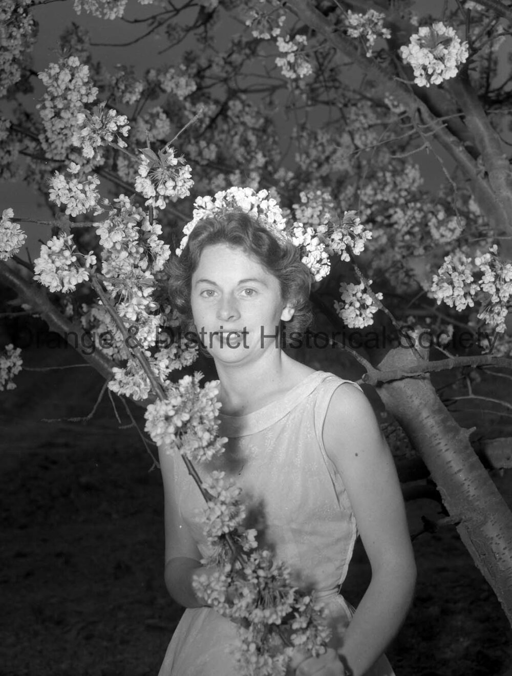 Janet Duff with cherry blossom