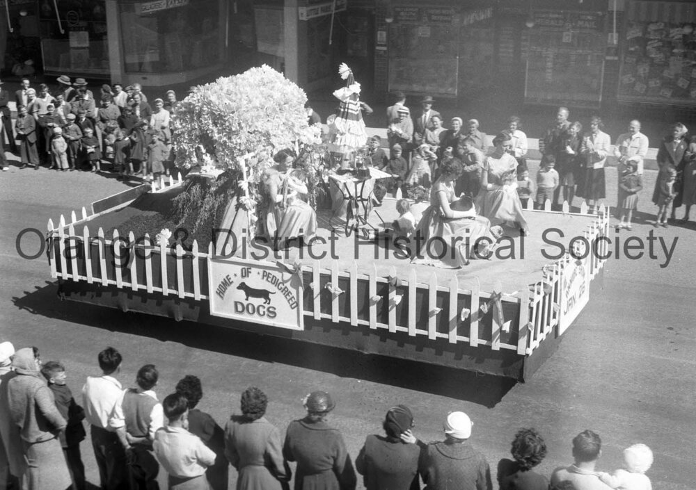 Cherry Blossom procession