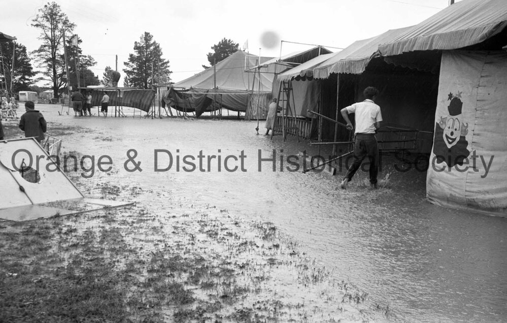 Showground under water, Cherry Blossom weekend
