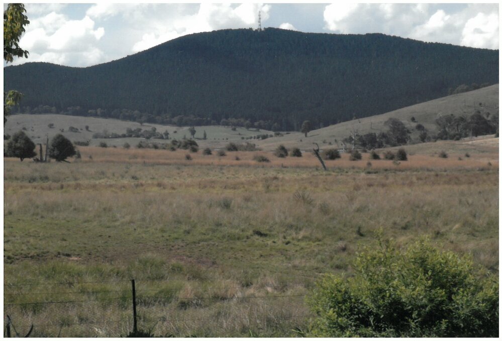 Mount Macquarie, Neville NSW