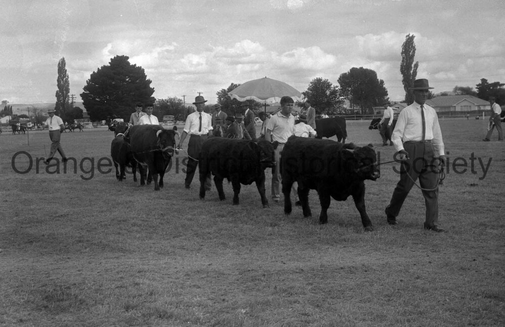 Blayney Show