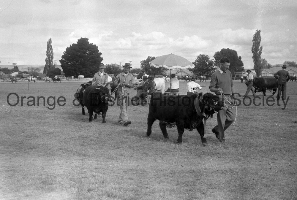 Blayney Show