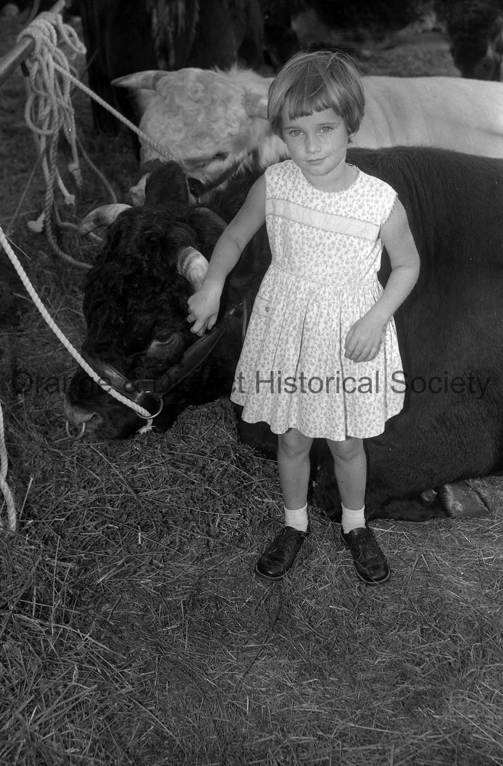 Blayney Show