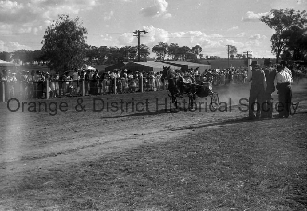 Cumnock Show