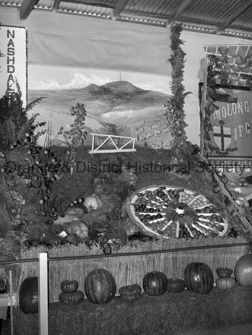 Orange Show first day