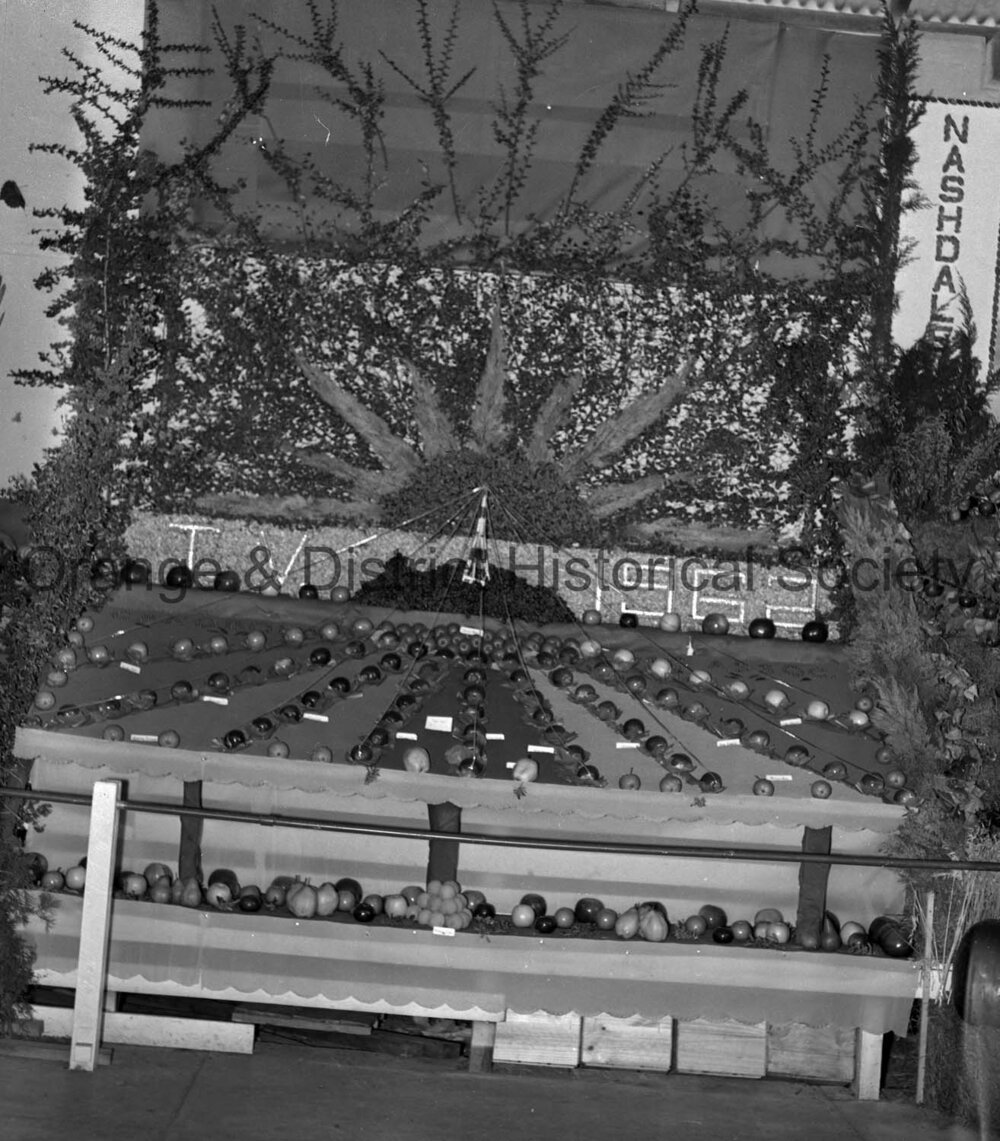 Orange Show first day