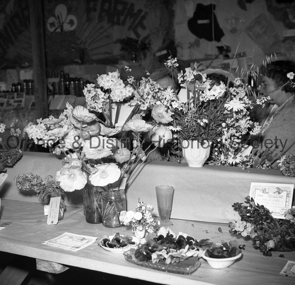 Flower display, Manildra Show