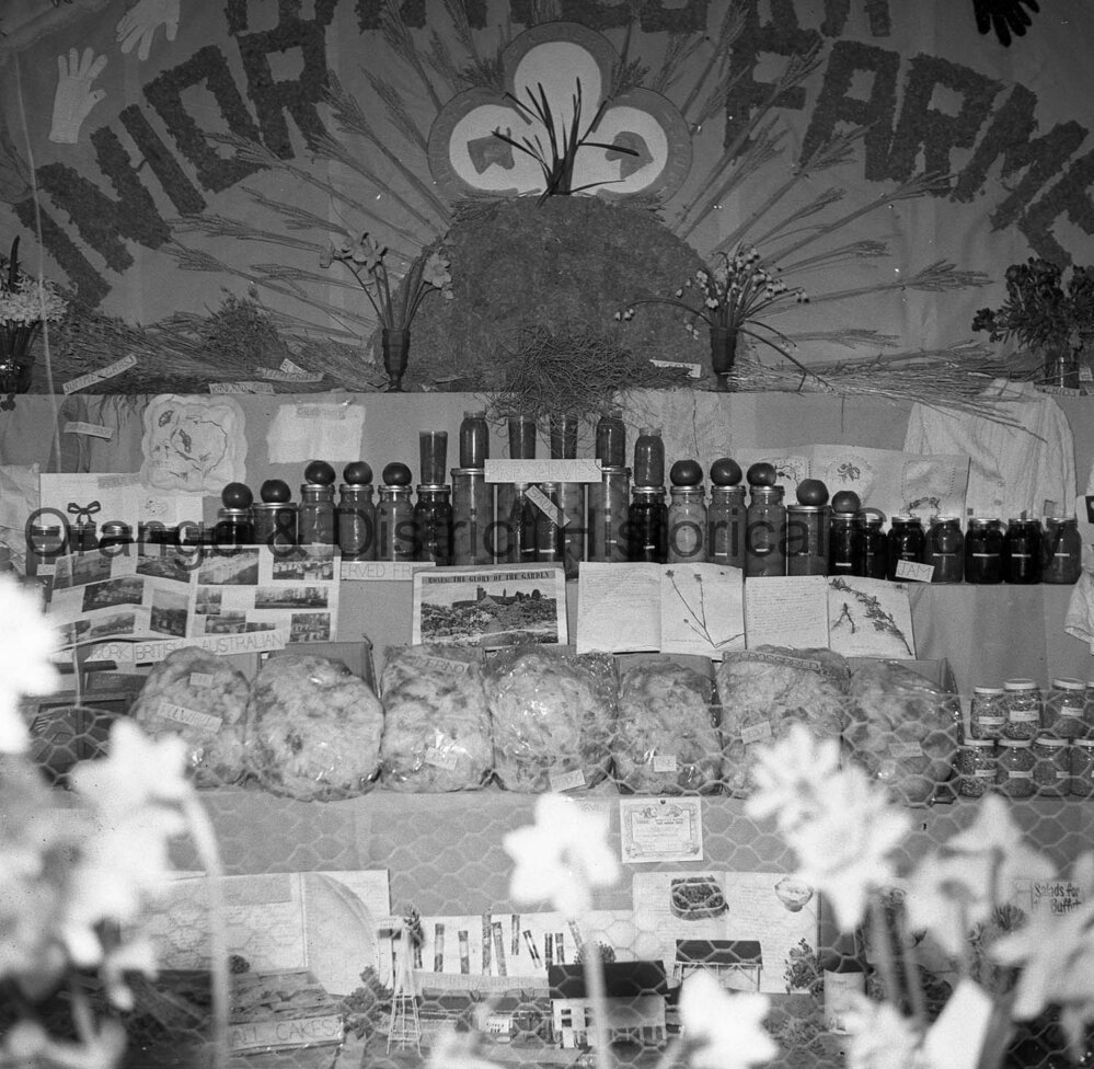 Produce display, Manildra Show