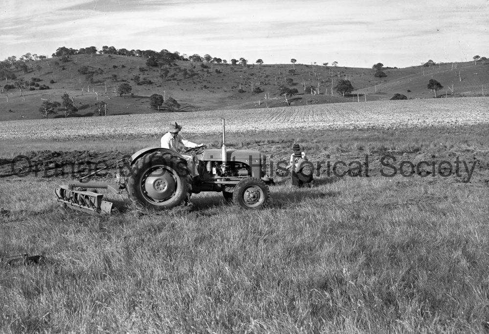 Tractors at Field Days