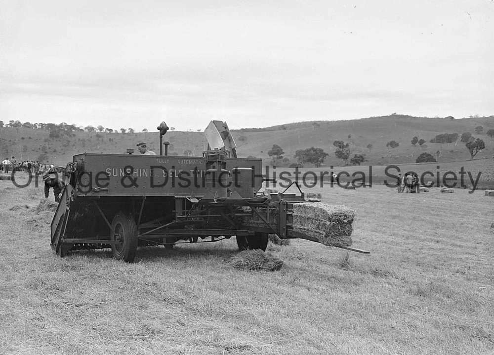 Field Days