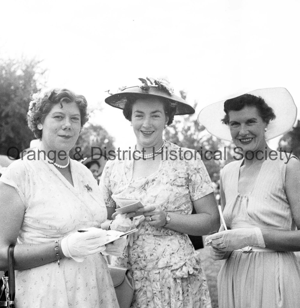 Orange races social pictures