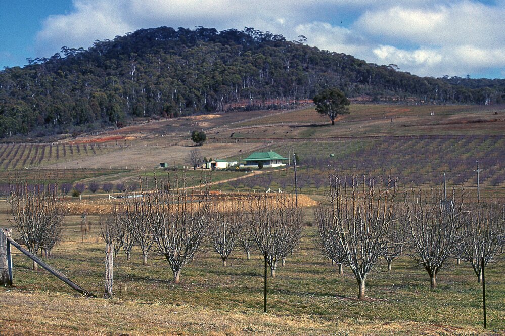 Fernbank property at Towac
