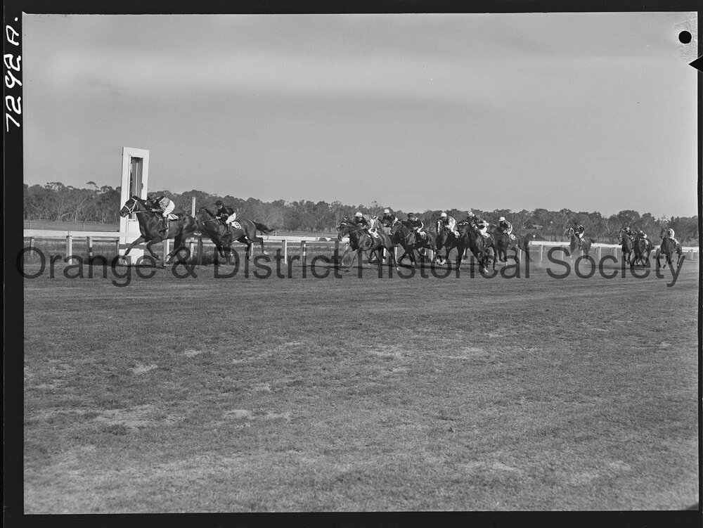 Orange Cup race meeting
