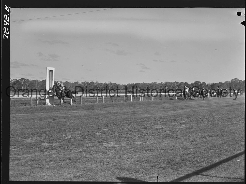 Orange Cup race meeting