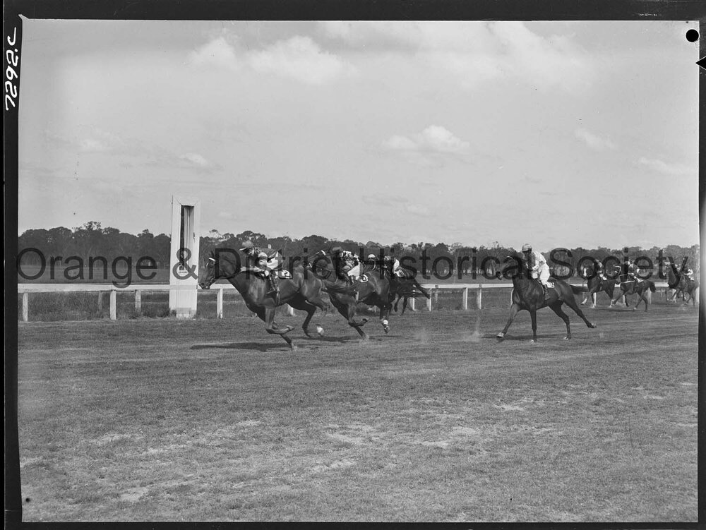 Orange Cup race meeting