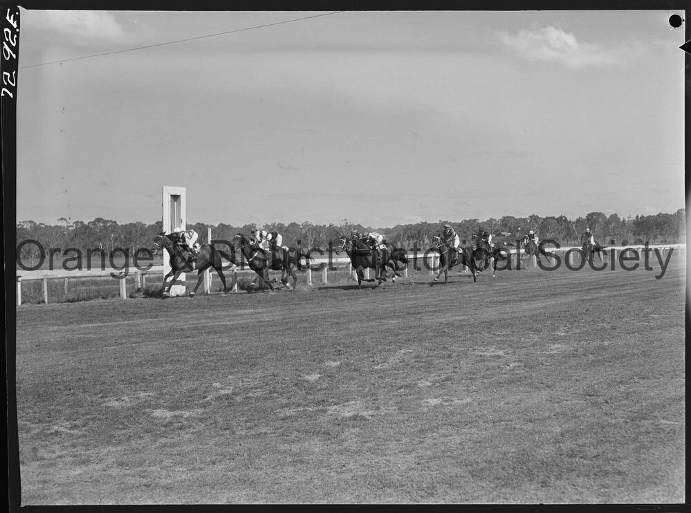 Orange Cup race meeting