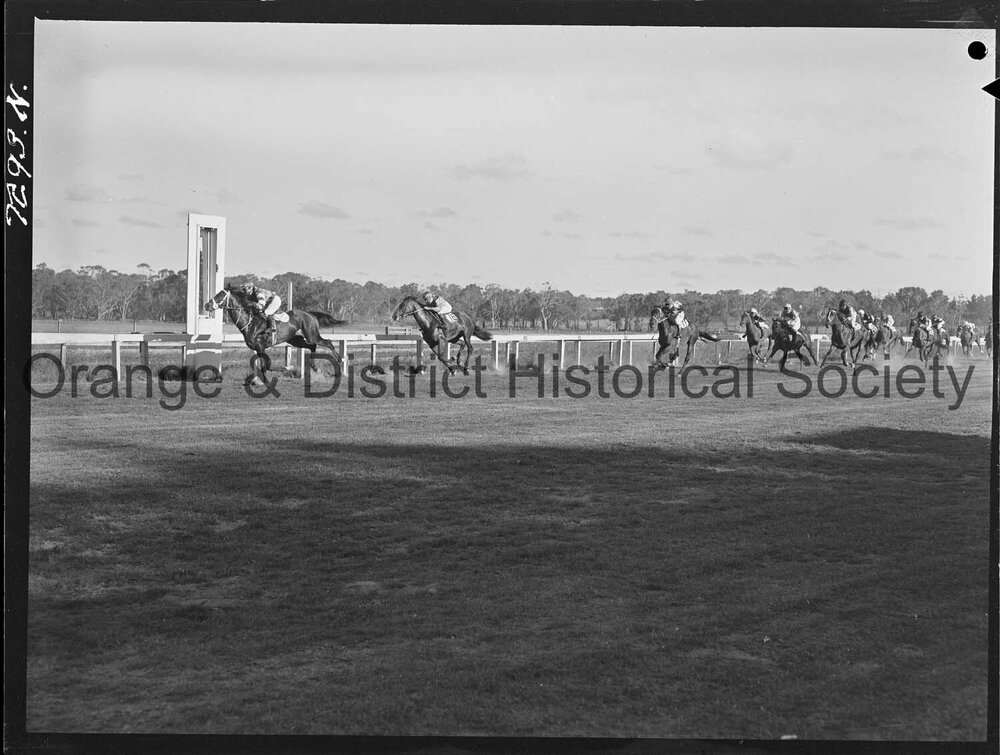 Orange Cup race meeting