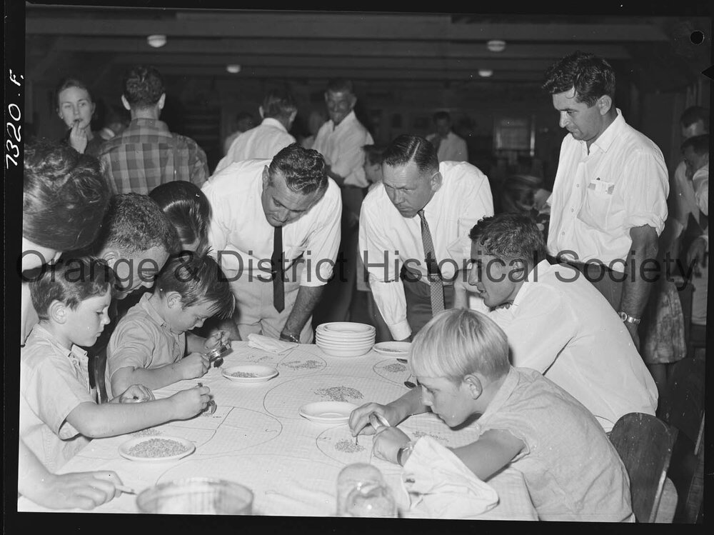Visiting Sydney journalists at Fairbridge Farm