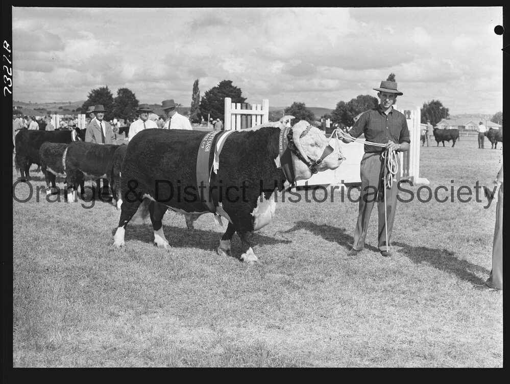 Blayney Show