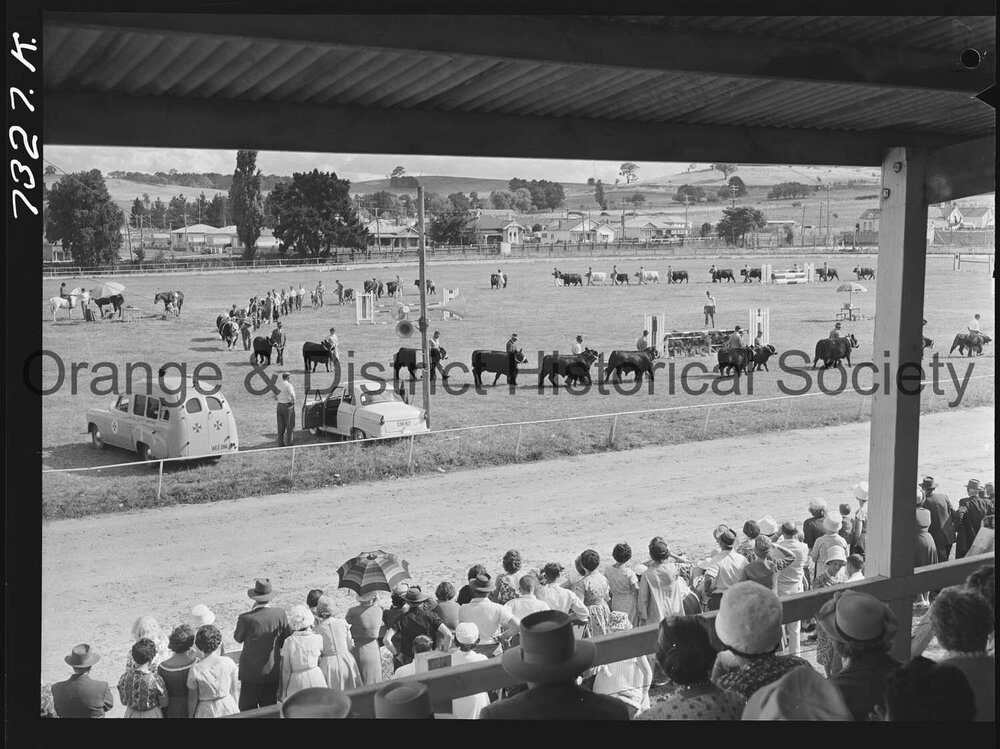 Blayney Show