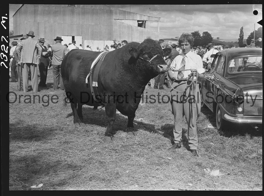 Blayney Show