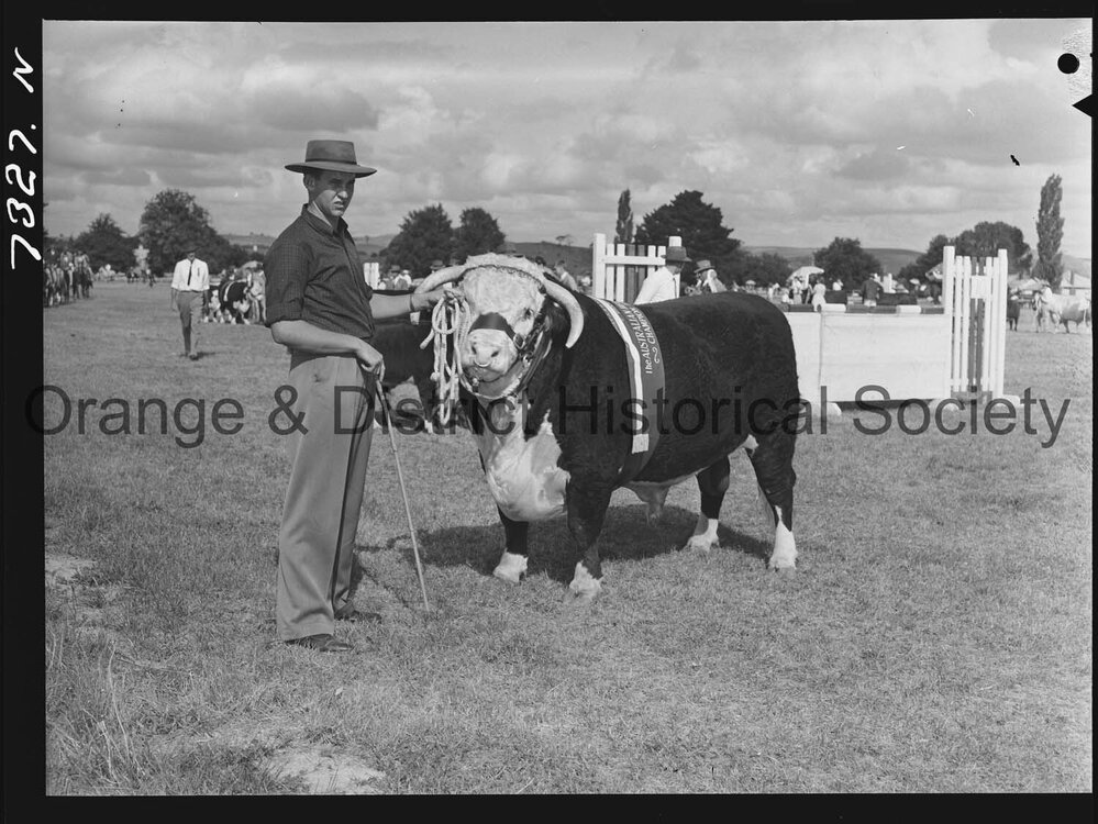 Blayney Show