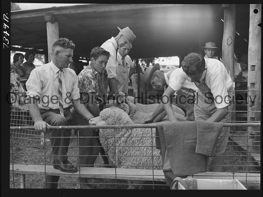 Cumnock Show 1963