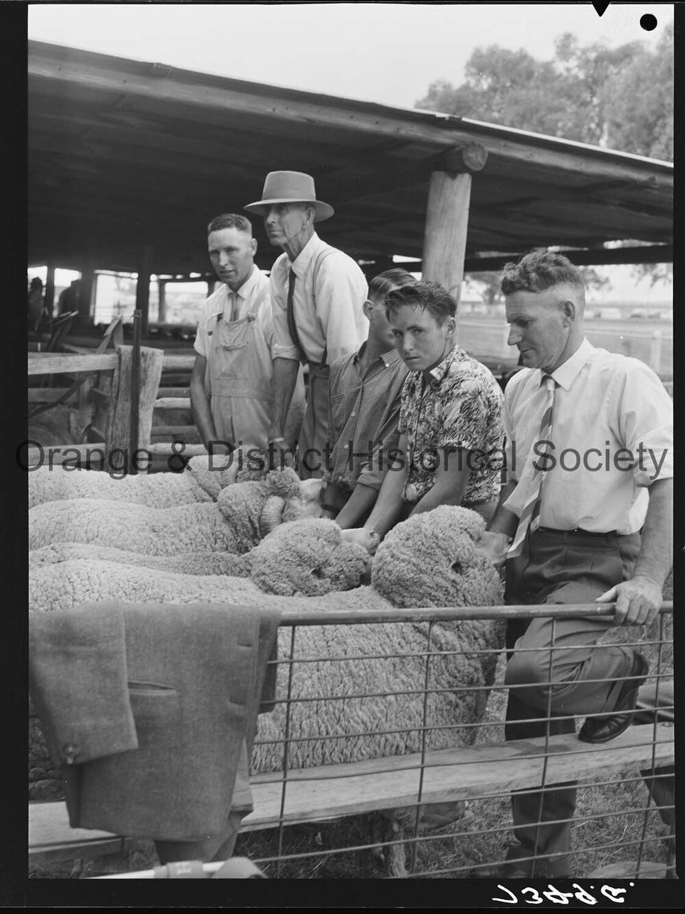 Cumnock Show 1963