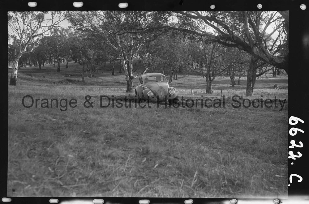 Orange Light Car Club gymkhana