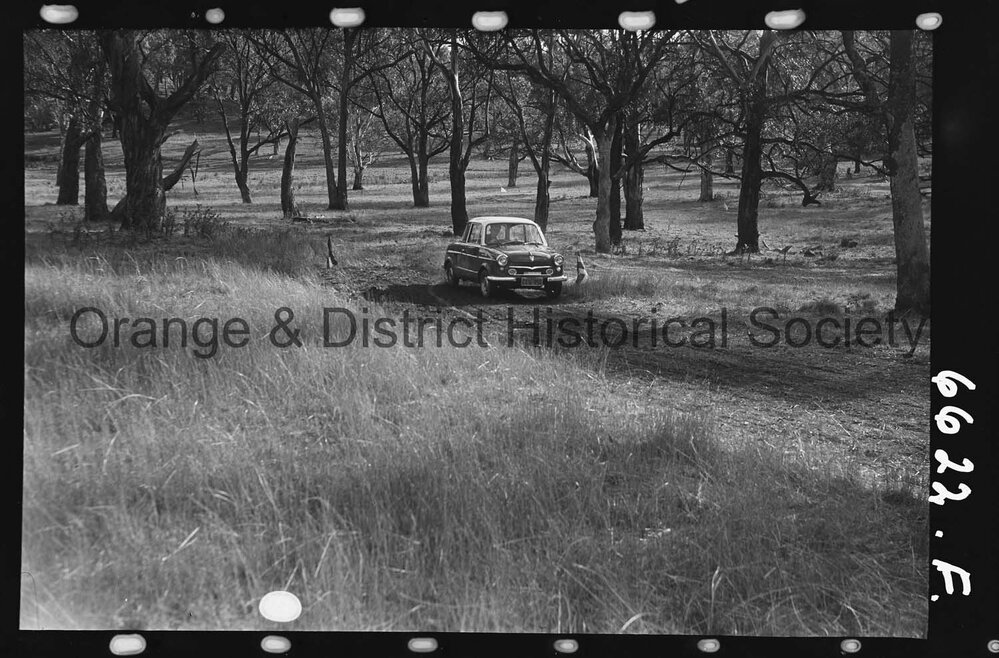 Orange Light Car Club gymkhana