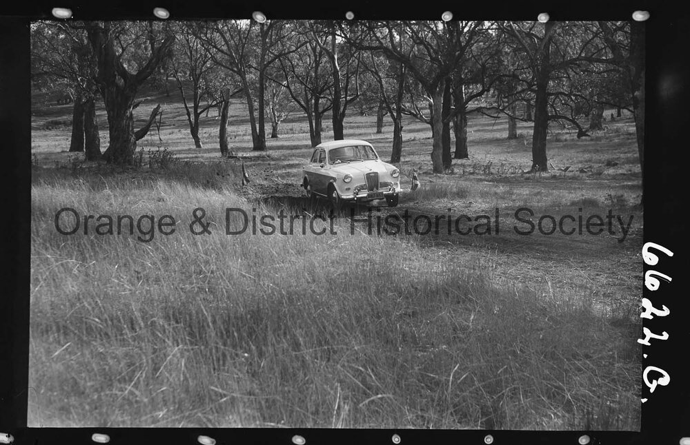 Orange Light Car Club gymkhana