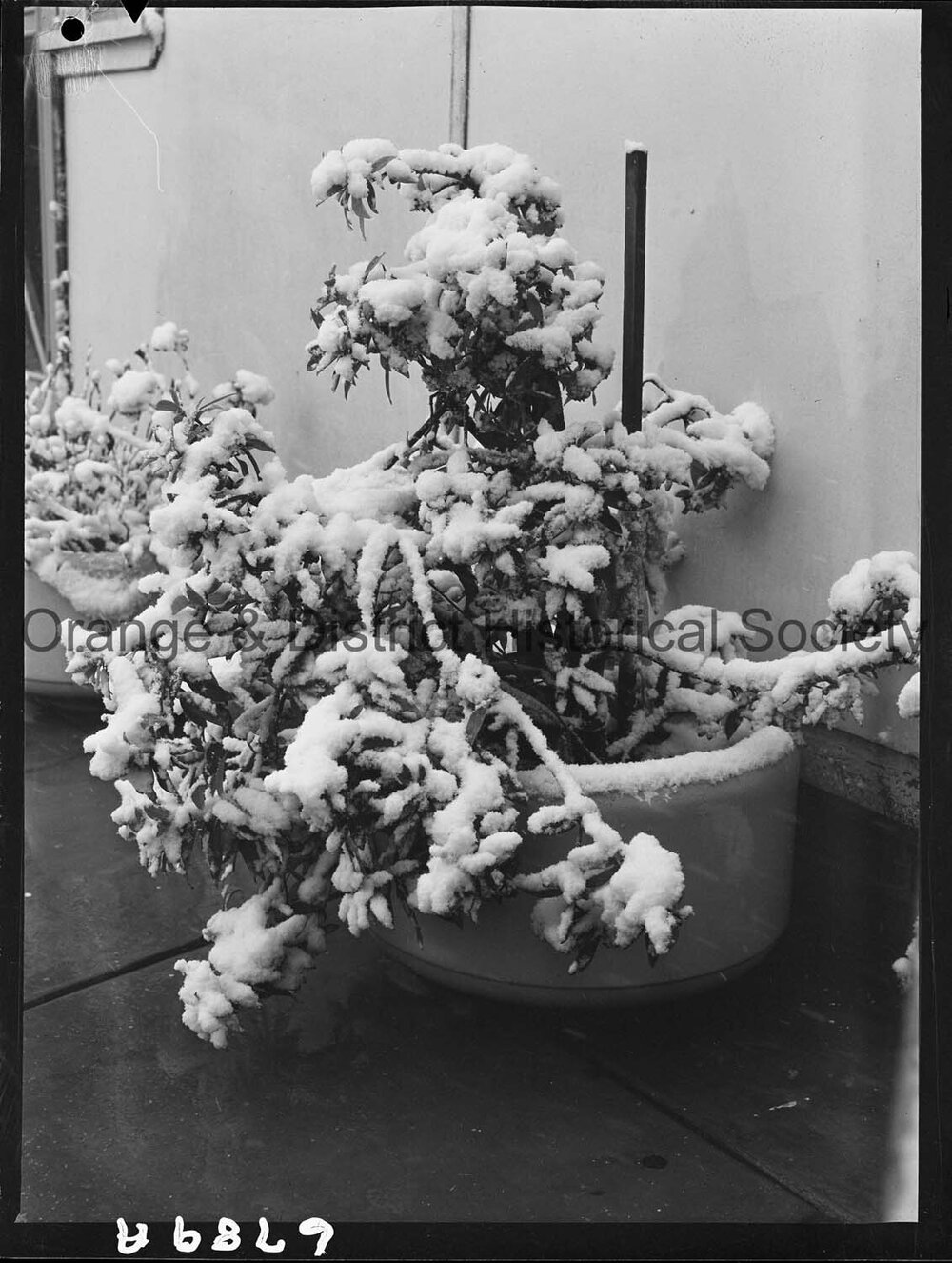 Snow scenes around Orange