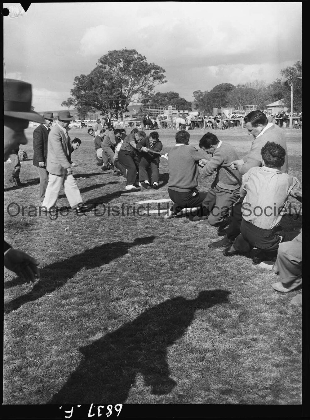 Molong Show