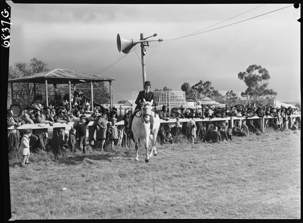 Molong Show