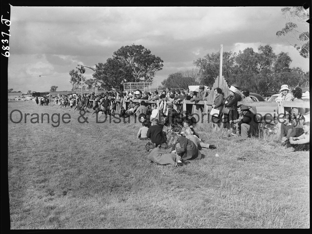 Molong Show