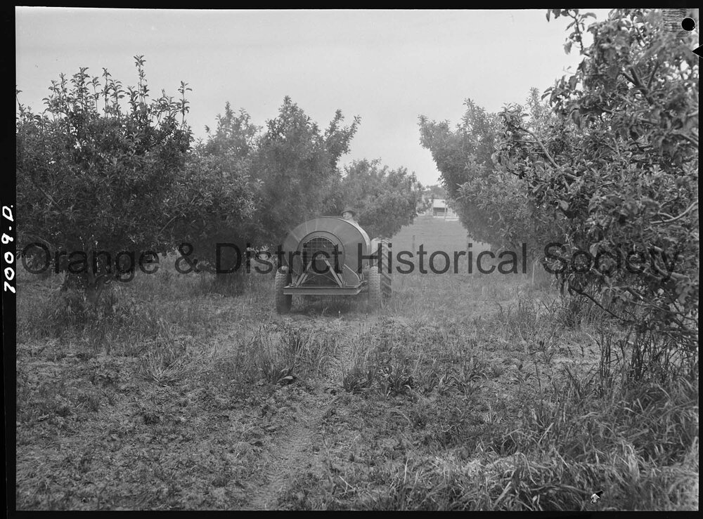Orchard displays at Orange Field Days