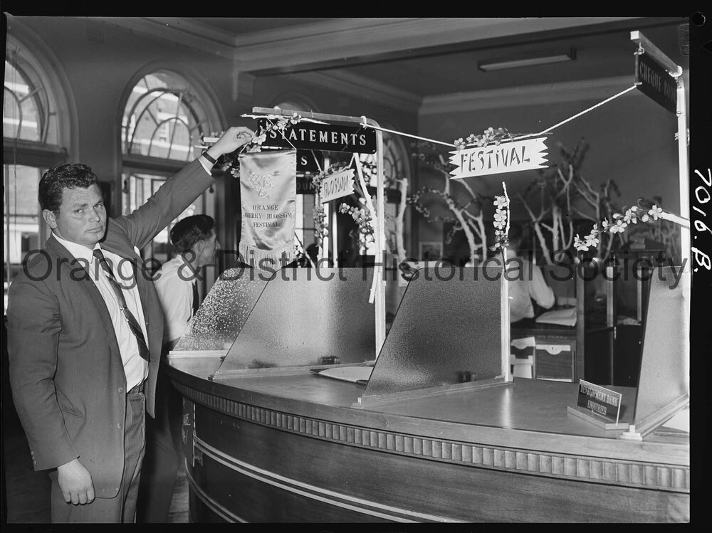 Cherry Blossom Festival week display