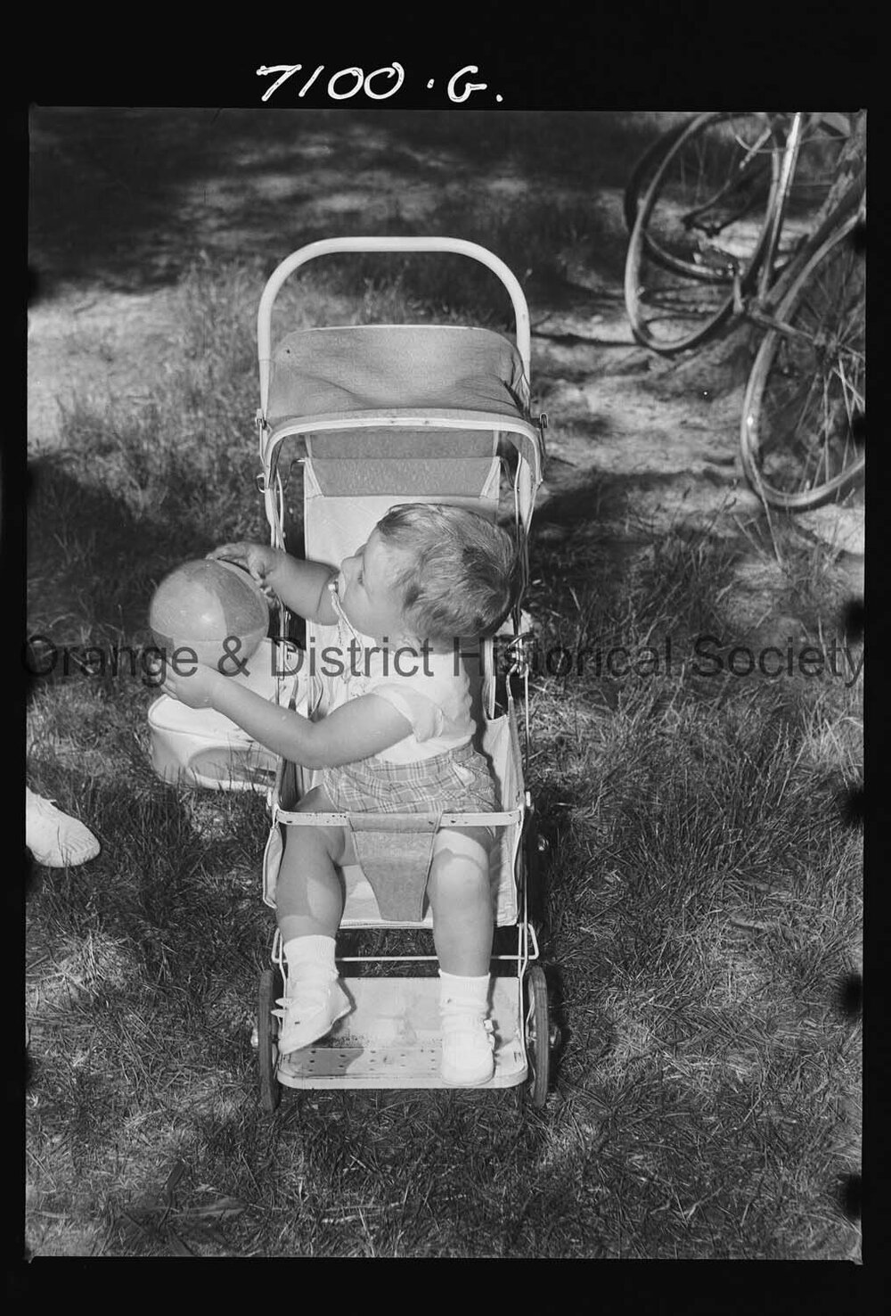 Creative Leisure Centre's Sports Day at Newman Park