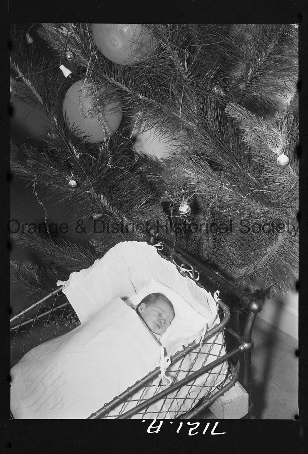 Gaye Dorothy McGinley