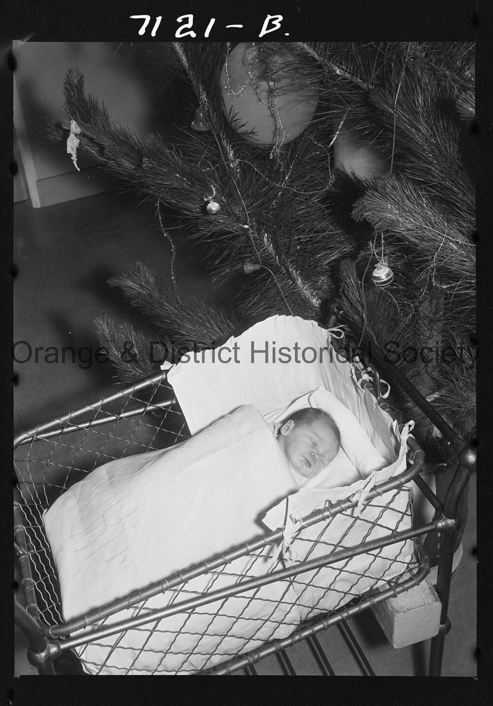 Gaye Dorothy McGinley