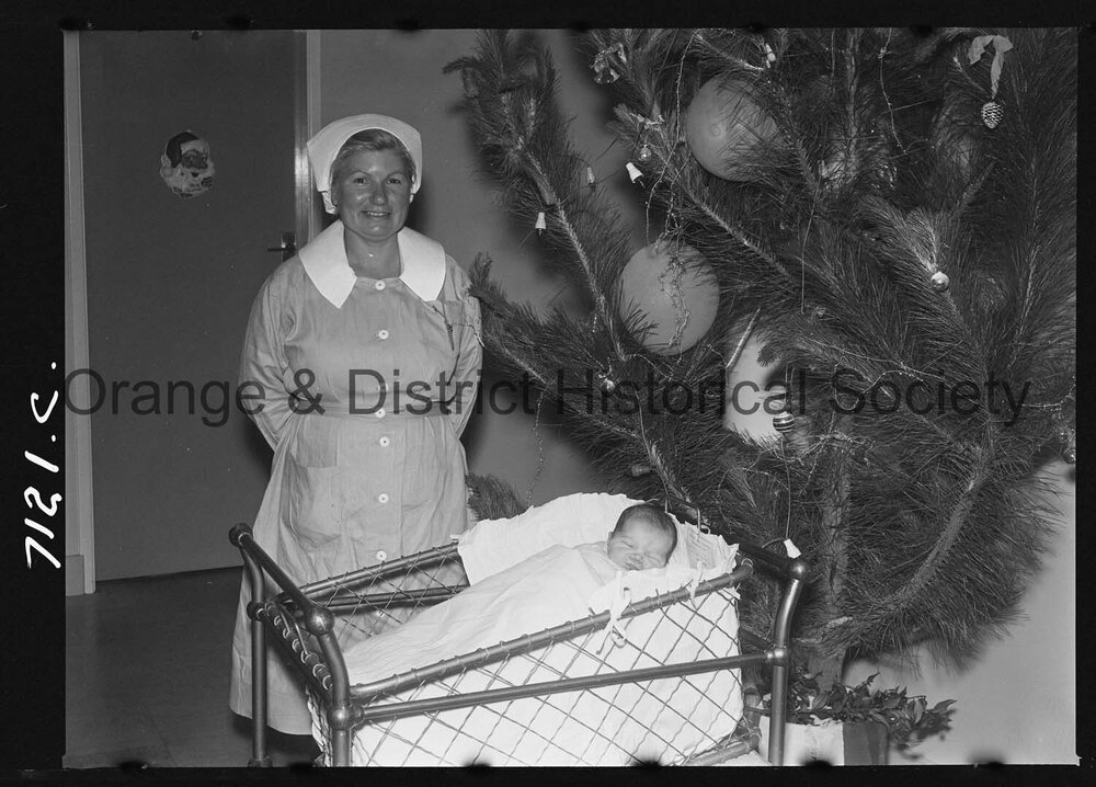 Gaye Dorothy McGinley