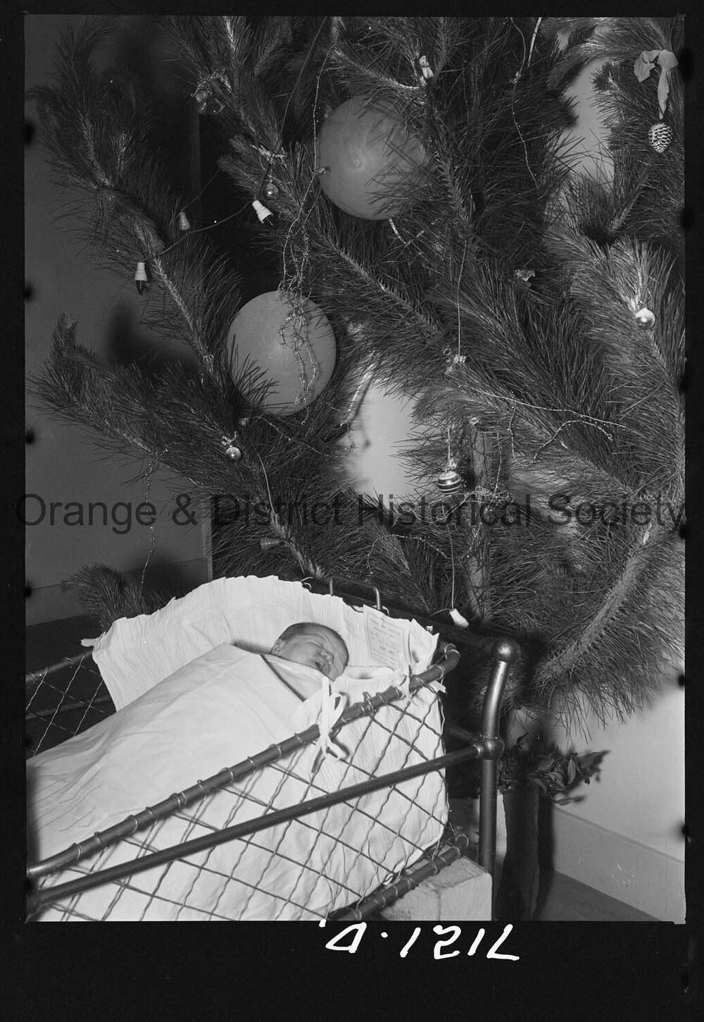 Gaye Dorothy McGinley