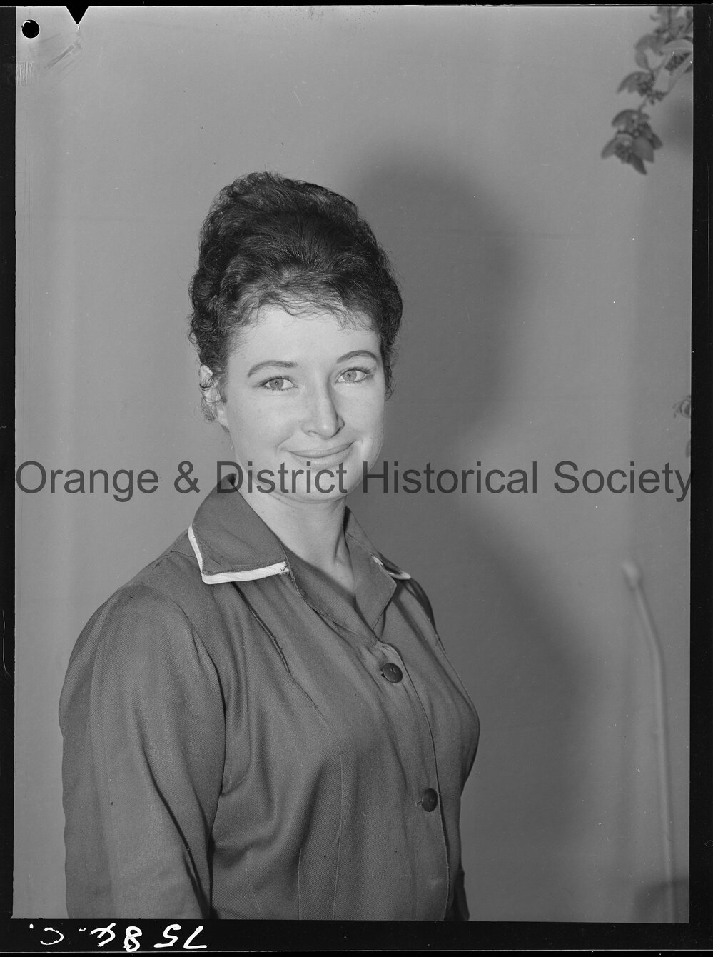 Helen Brown, Miss Australia entrant