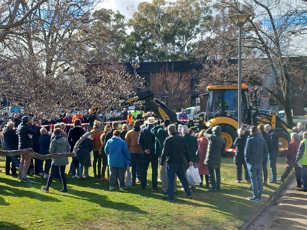 Crowd at unearthing of Orange Lions Club Time Capsule, Robertson Park, Orange