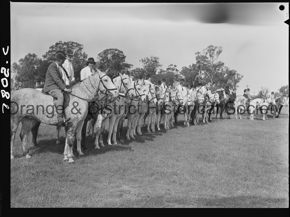 Cudal Show 1963