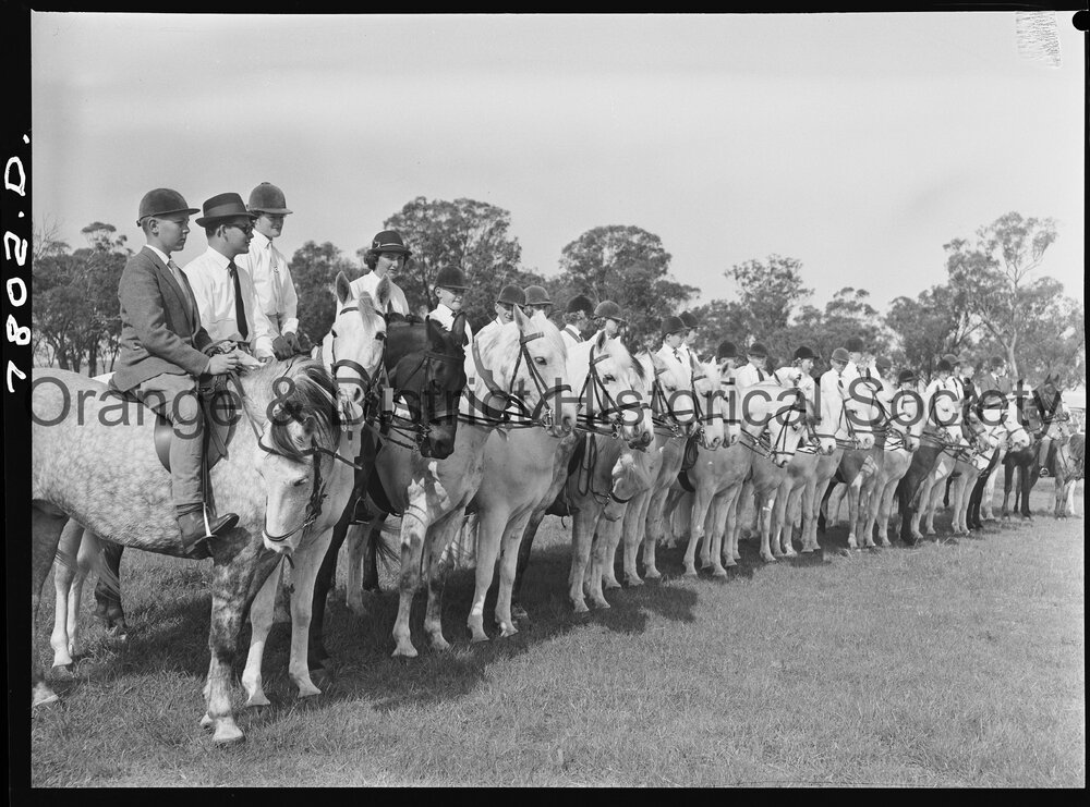 Cudal Show 1963