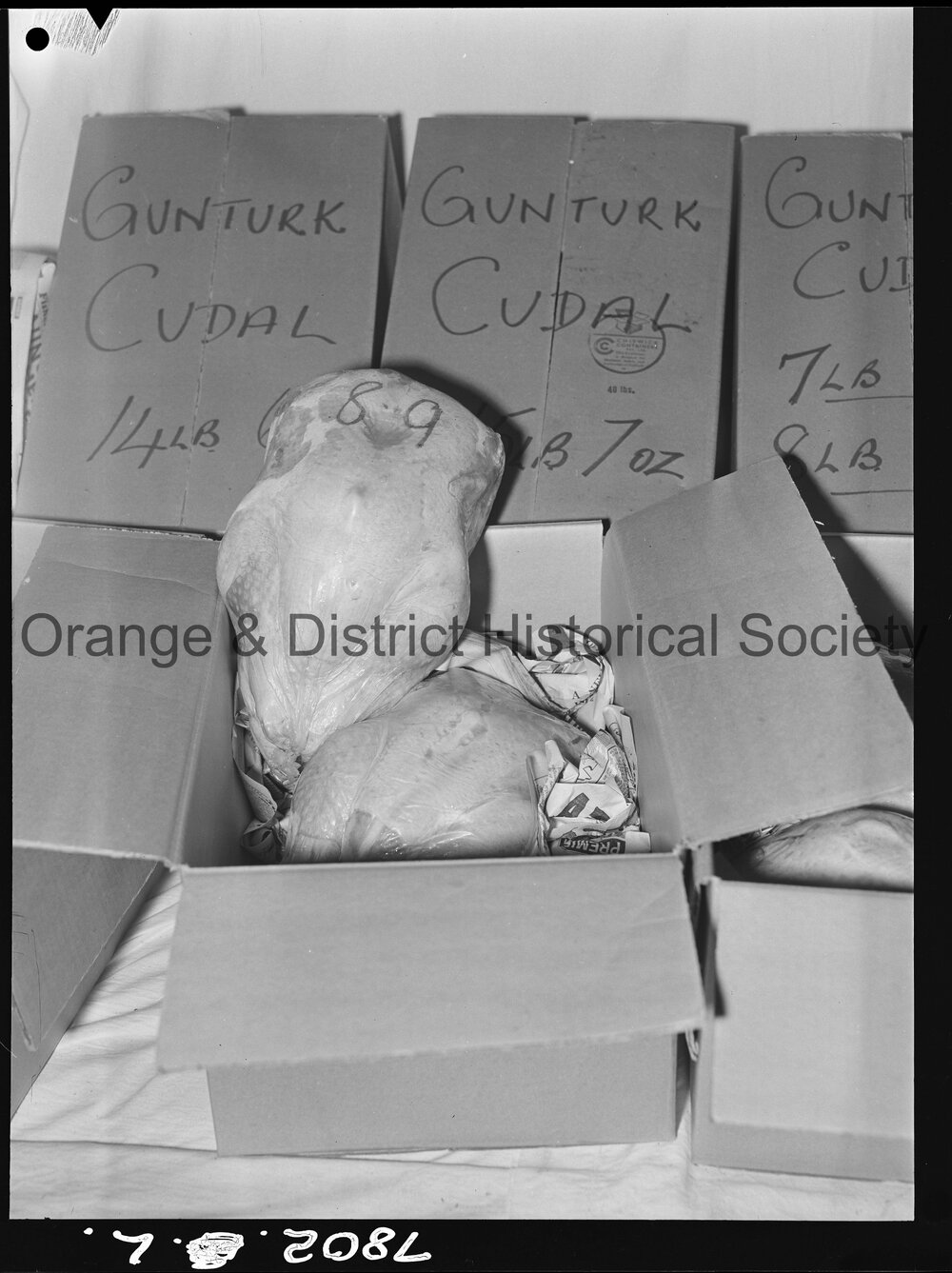 Cudal Show 1963
