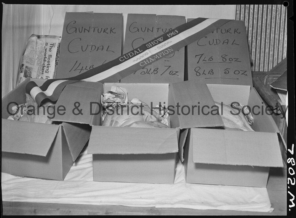 Cudal Show 1963